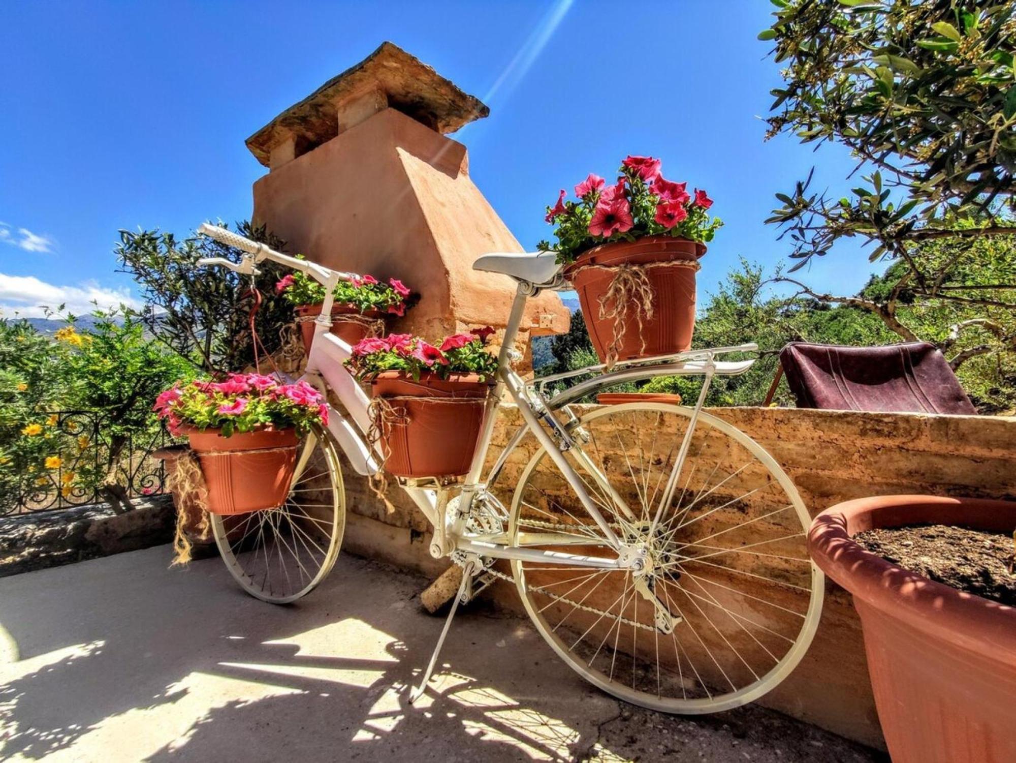 Thymes Traditional House Villa Loulos Dış mekan fotoğraf